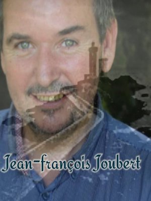 cover image of L'univers des possibles